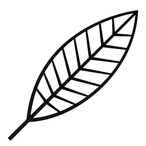 leaf outline images